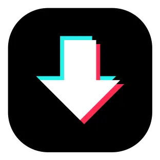 Tiktok Video Downloader